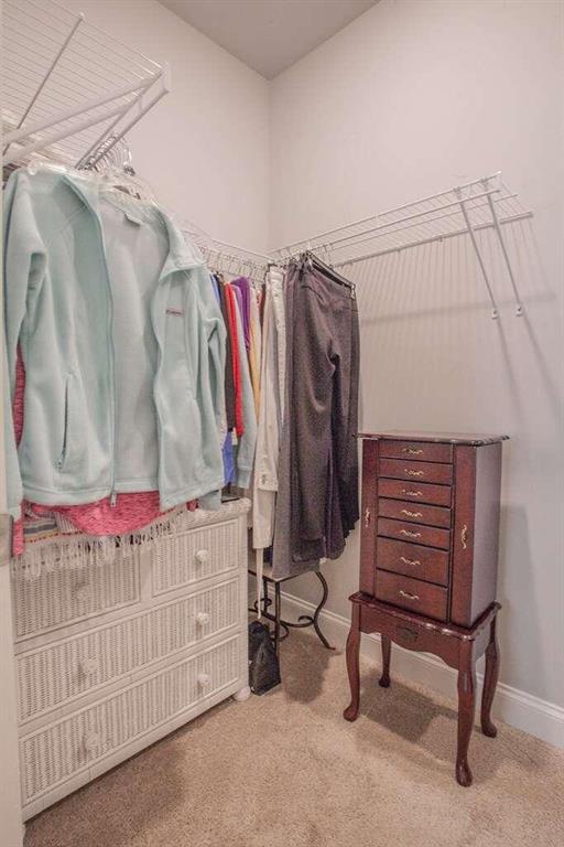 spacious closet with carpet flooring