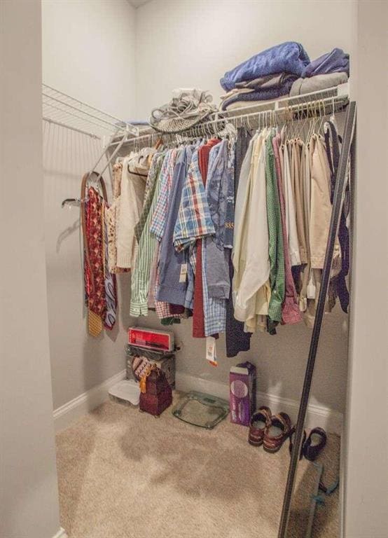 spacious closet with carpet