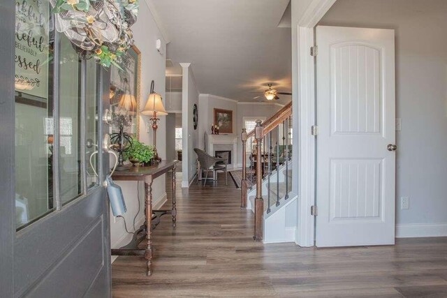 foyer with ceiling fan, hardwood / wood-style flooring, and crown molding