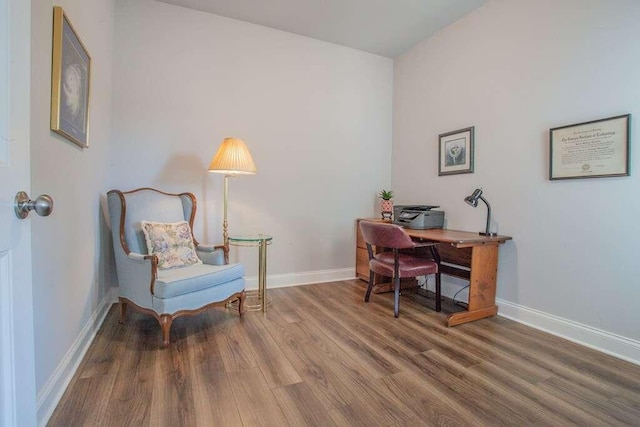 office space featuring wood-type flooring