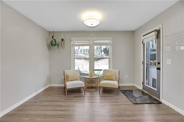 living area featuring hardwood / wood-style floors