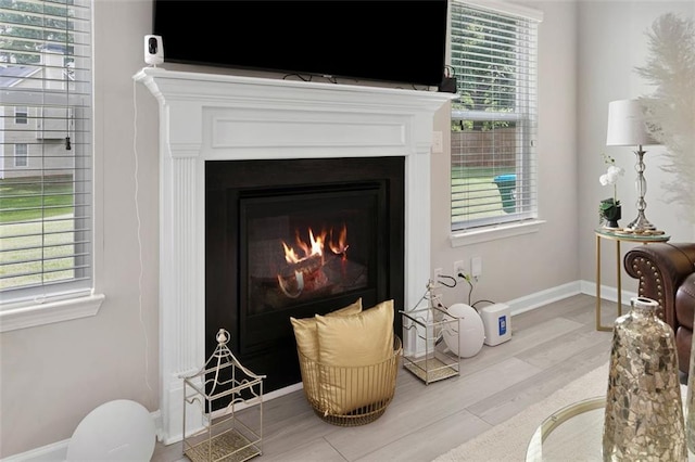 140 Canyons Ct, Hampton, GA 30228 - detailed view of wood finished floors and a lit fireplace