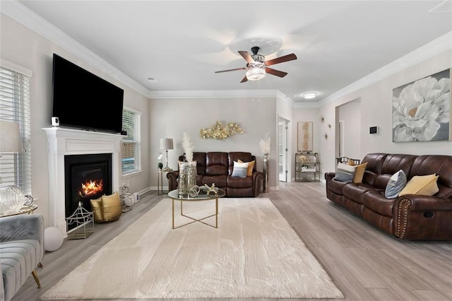 140 Canyons Ct, Hampton, GA 30228 - living room featuring wood finished floors, a ceiling fan, a glass covered fireplace, and ornamental molding