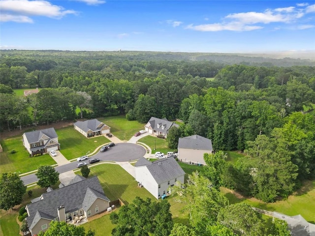 140 Canyons Ct, Hampton, GA 30228 - view of property location with a heavily wooded area and nearby suburban area