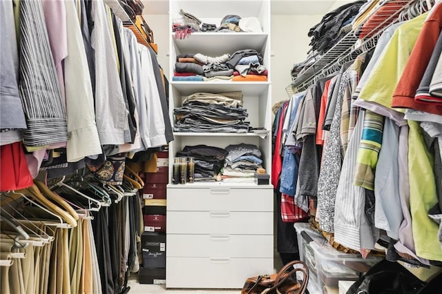 view of spacious closet