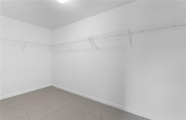 4317 Azalea Ridge Way, Hoschton, GA 30548 - spacious closet with carpet
