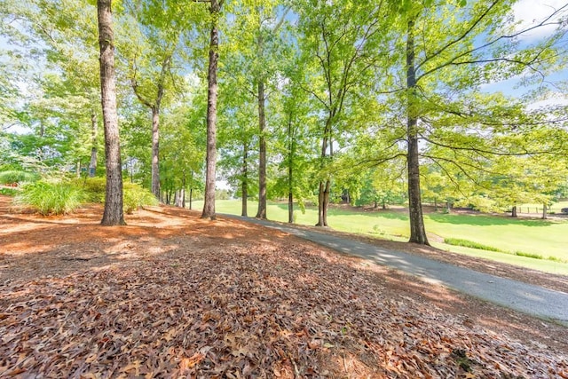 4621 Chartwell Chase Ct, Flowery Branch, GA 30542 - view of yard