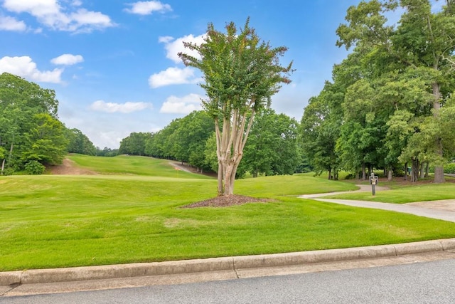 4621 Chartwell Chase Ct, Flowery Branch, GA 30542 - surrounding community featuring view of scattered trees, a yard, and golf course view
