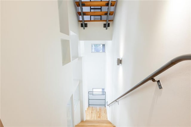 staircase with hardwood / wood-style flooring