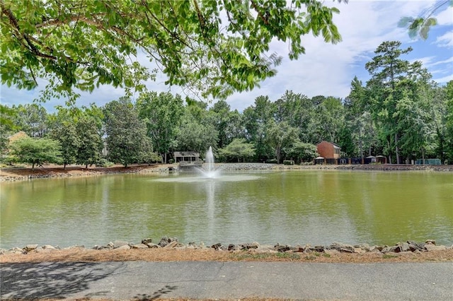 view of water feature