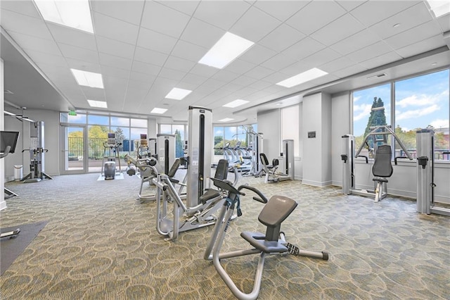 exercise room with carpet and a wealth of natural light