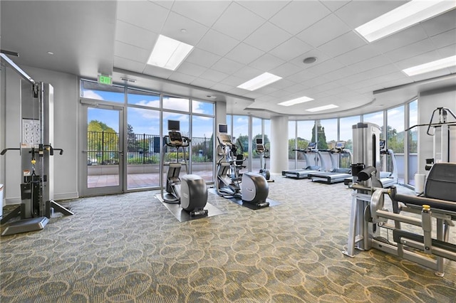 gym with a paneled ceiling, carpet flooring, and a wall of windows