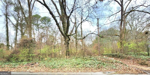 0 Jonesboro Rd, Atlanta GA, 30354 land for sale