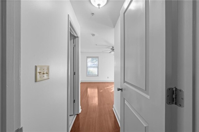 corridor featuring hardwood / wood-style floors