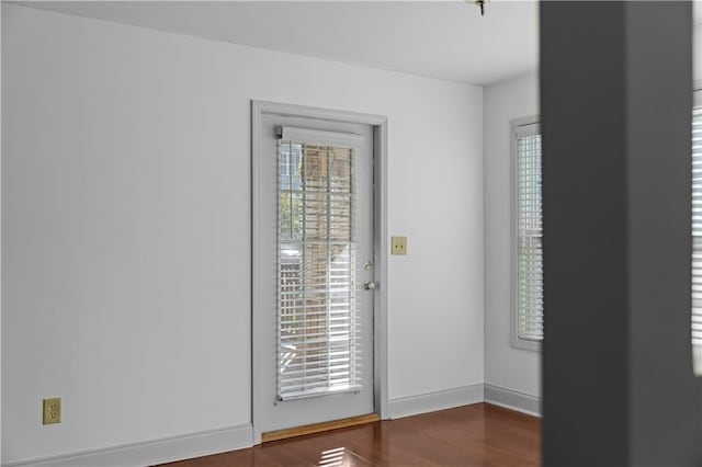 entryway featuring dark hardwood / wood-style flooring and a healthy amount of sunlight