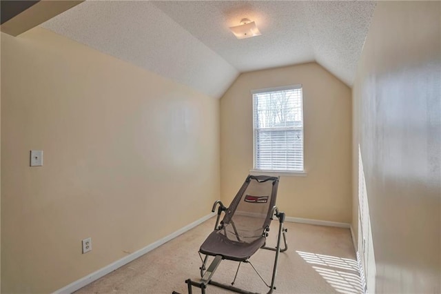exercise room with light colored carpet, a textured ceiling, and vaulted ceiling