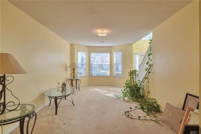 miscellaneous room with light colored carpet and a textured ceiling