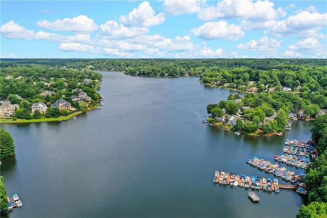 birds eye view of property with a wooded view and a water view