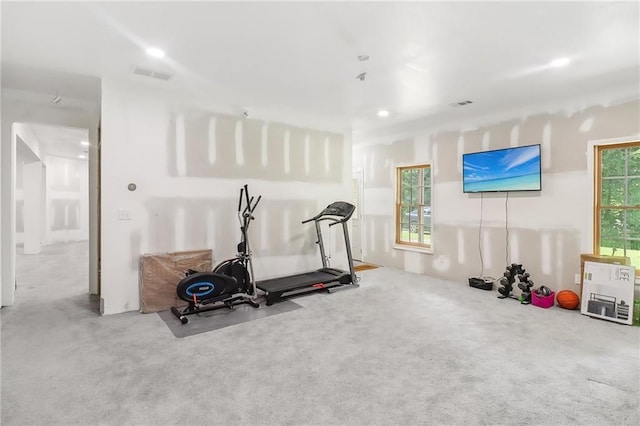 workout area with carpet