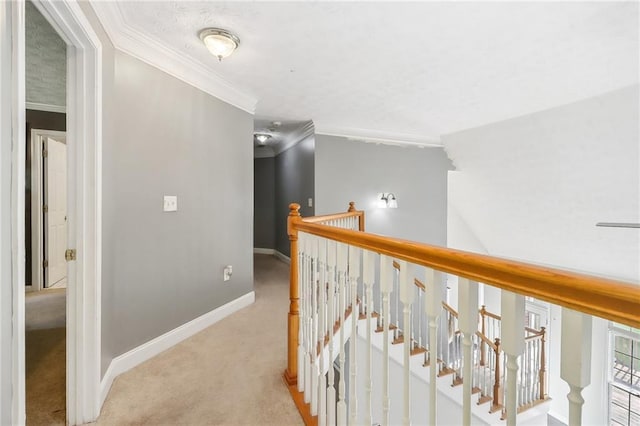 hall featuring crown molding and light colored carpet