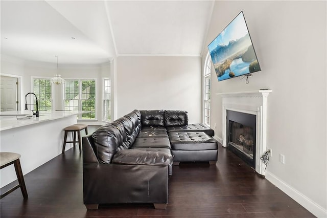 living room with dark hardwood / wood-style flooring and sink