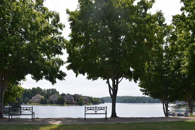 201 Hunley Ct, Alpharetta, GA 30005 - water view
