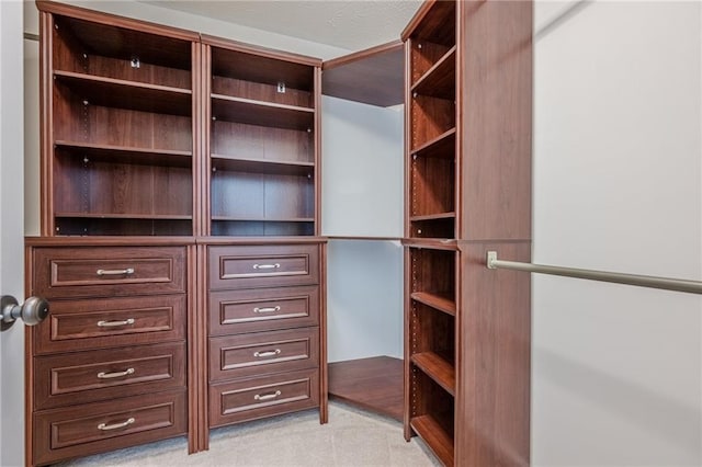 spacious closet with light colored carpet