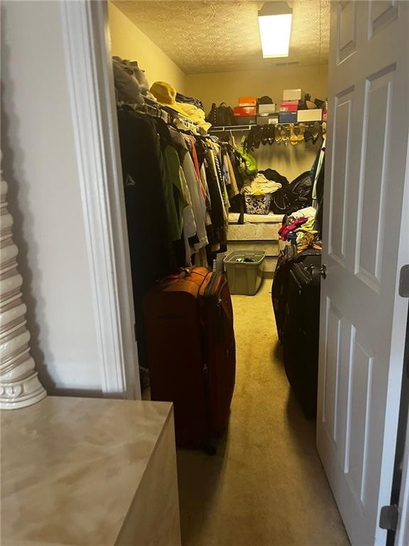 spacious closet featuring carpet flooring