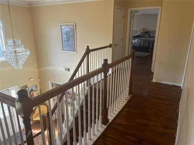 corridor featuring ornamental molding, a chandelier, and dark hardwood / wood-style floors