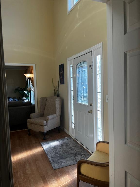 entryway featuring a high ceiling, a wealth of natural light, and hardwood / wood-style floors