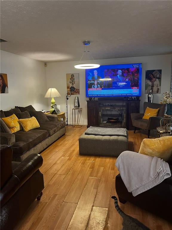 living room with hardwood / wood-style floors