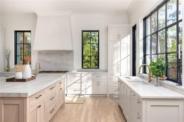 kitchen with light stone counters, light wood finished floors, white cabinetry, ornamental molding, and a sink