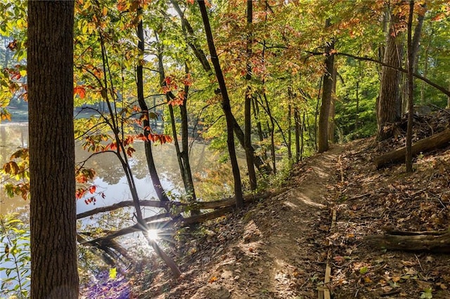 view of local wilderness with a water view