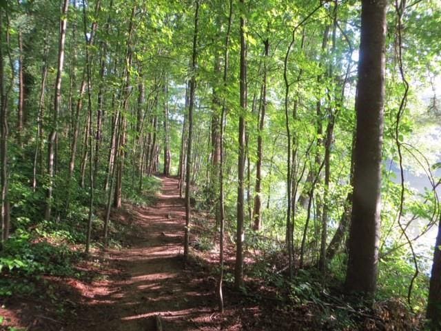 view of local wilderness featuring a forest view