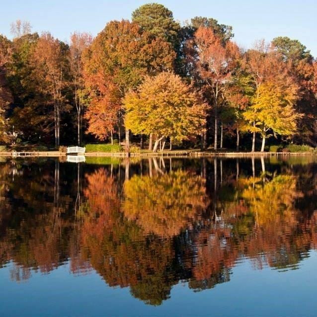 water view featuring a view of trees