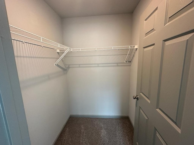 spacious closet featuring dark colored carpet