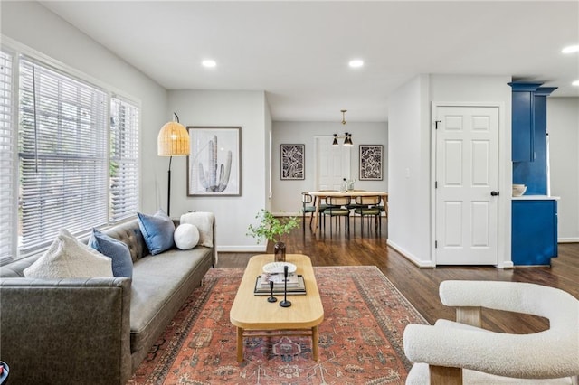 living room featuring dark hardwood / wood-style flooring