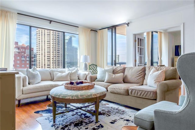 living area with a view of city, light wood finished floors, and ornamental molding