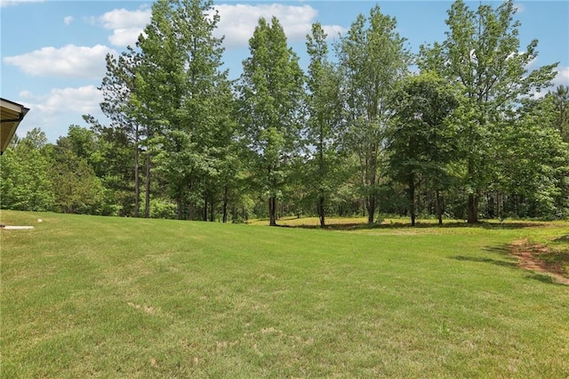 411 Johnson Rd, Locust Grove, GA 30248 - view of grassy yard