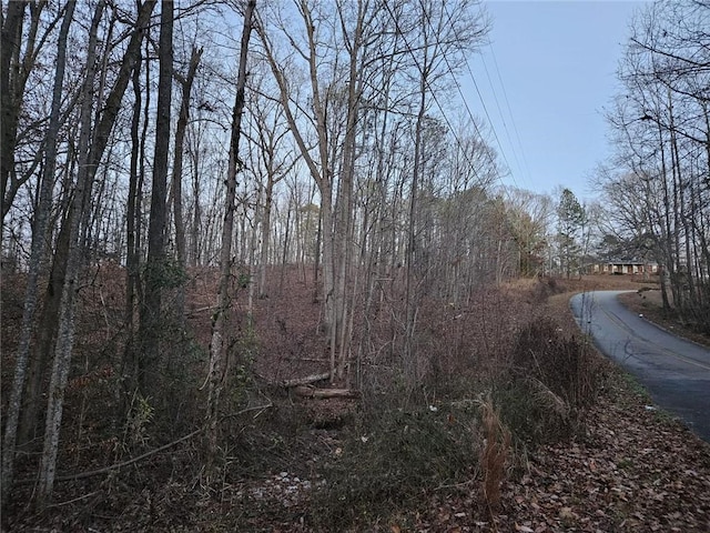 Listing photo 3 for 0 Lanette Cir, Barnesville GA 30204