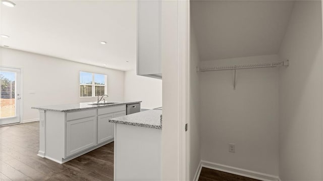 interior space featuring dark hardwood / wood-style flooring and sink