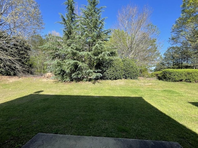 3108 Broadleaf Trl, Fairburn, GA 30213 - view of grassy yard