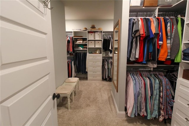 spacious closet with carpet floors