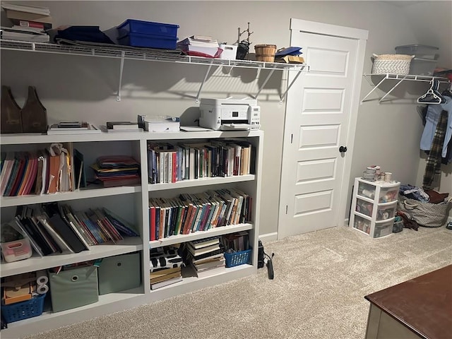 walk in closet featuring carpet floors