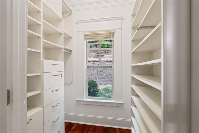 2855 Middlecreek Way Unit 2855, Cumming, GA 30041 - walk in closet with dark wood finished floors