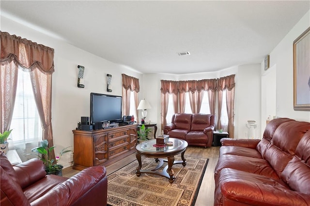 3405 Spring Chase Ln, Ellenwood, GA 30294 - living room featuring healthy amount of natural light and light wood finished floors