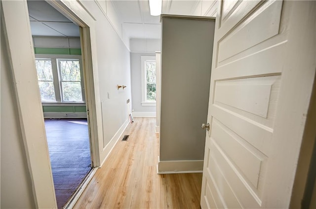 corridor with light hardwood / wood-style floors and a wealth of natural light