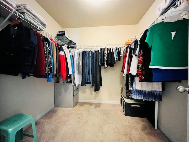 walk in closet with carpet flooring