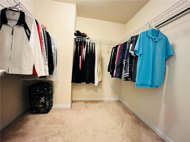 walk in closet with carpet floors