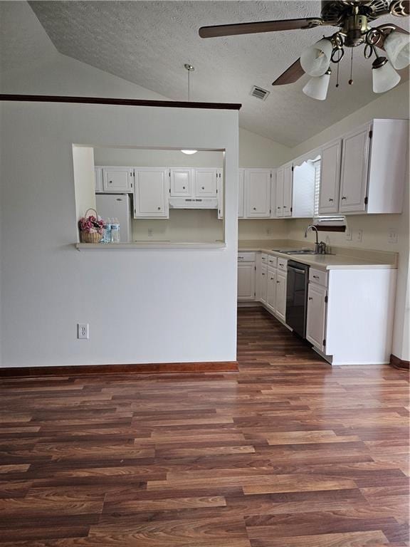 2752 Inverloch Cir, Duluth, GA 30096 - kitchen with vaulted ceiling, ceiling fan, dishwashing machine, a sink, and a textured ceiling